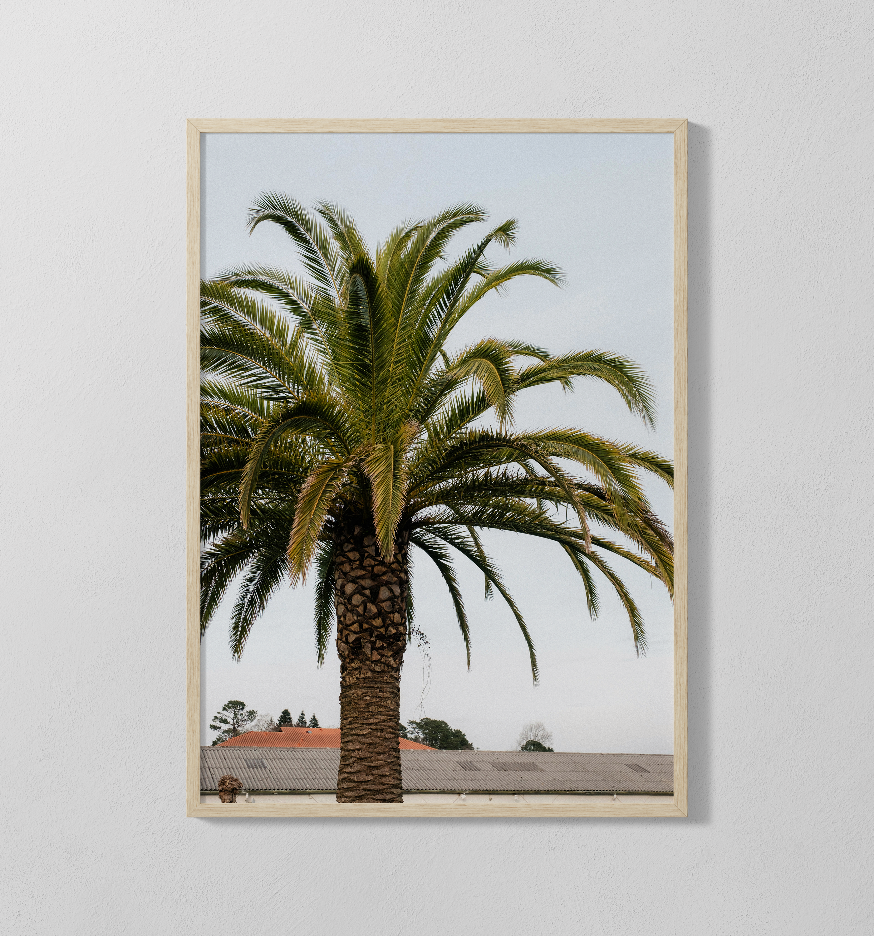 Palme | Poster
